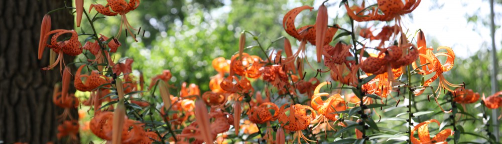 Monterey Cohousing Community