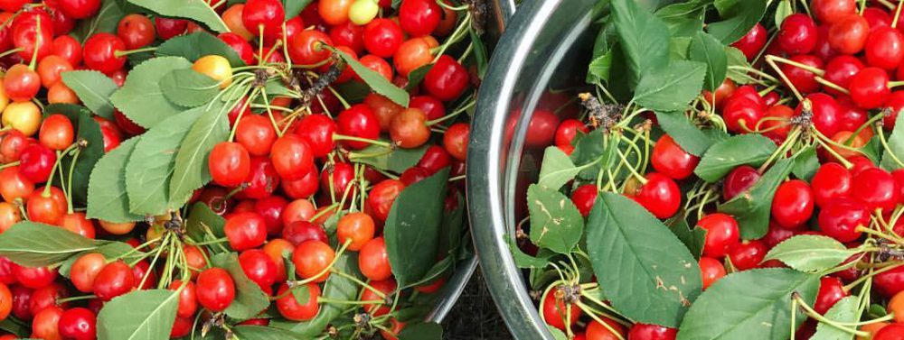 Monterey Cohousing Community